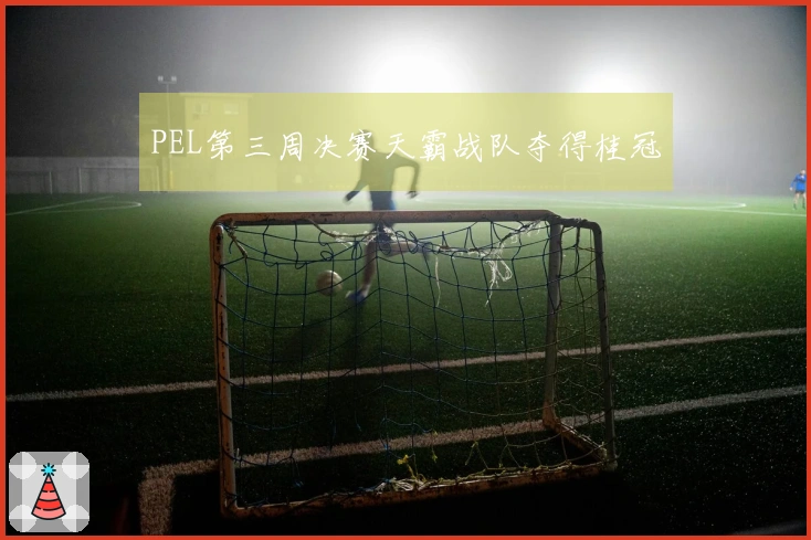 PEL第三周决赛天霸战队夺得桂冠