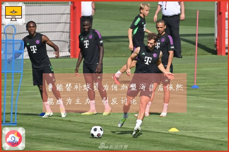 鲁能替补球员为何加盟海牛后依然能成为主力，引发讨论