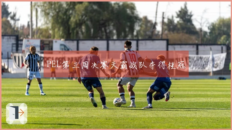 PEL第三周决赛天霸战队夺得桂冠